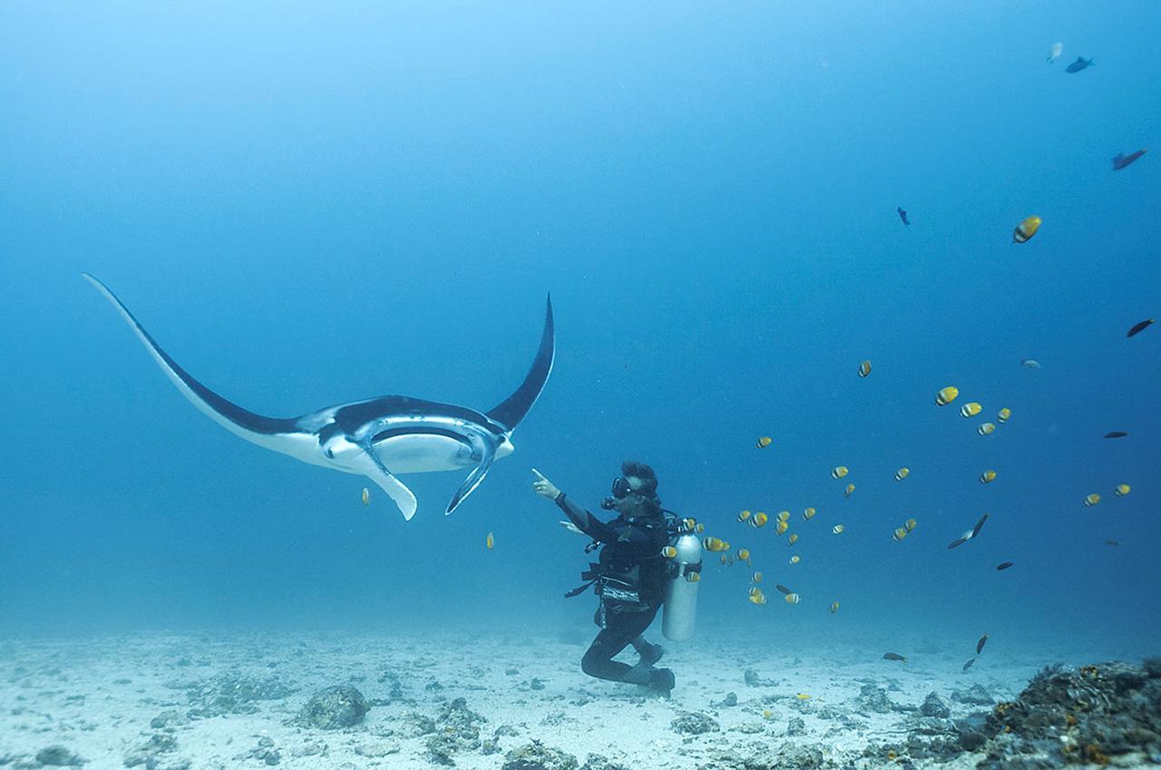 לבואן באג'ו Blue Marlin Dive Komodo מראה חיצוני תמונה